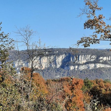 Gite Des 2 Lions Murs-et-Gelignieux Екстериор снимка